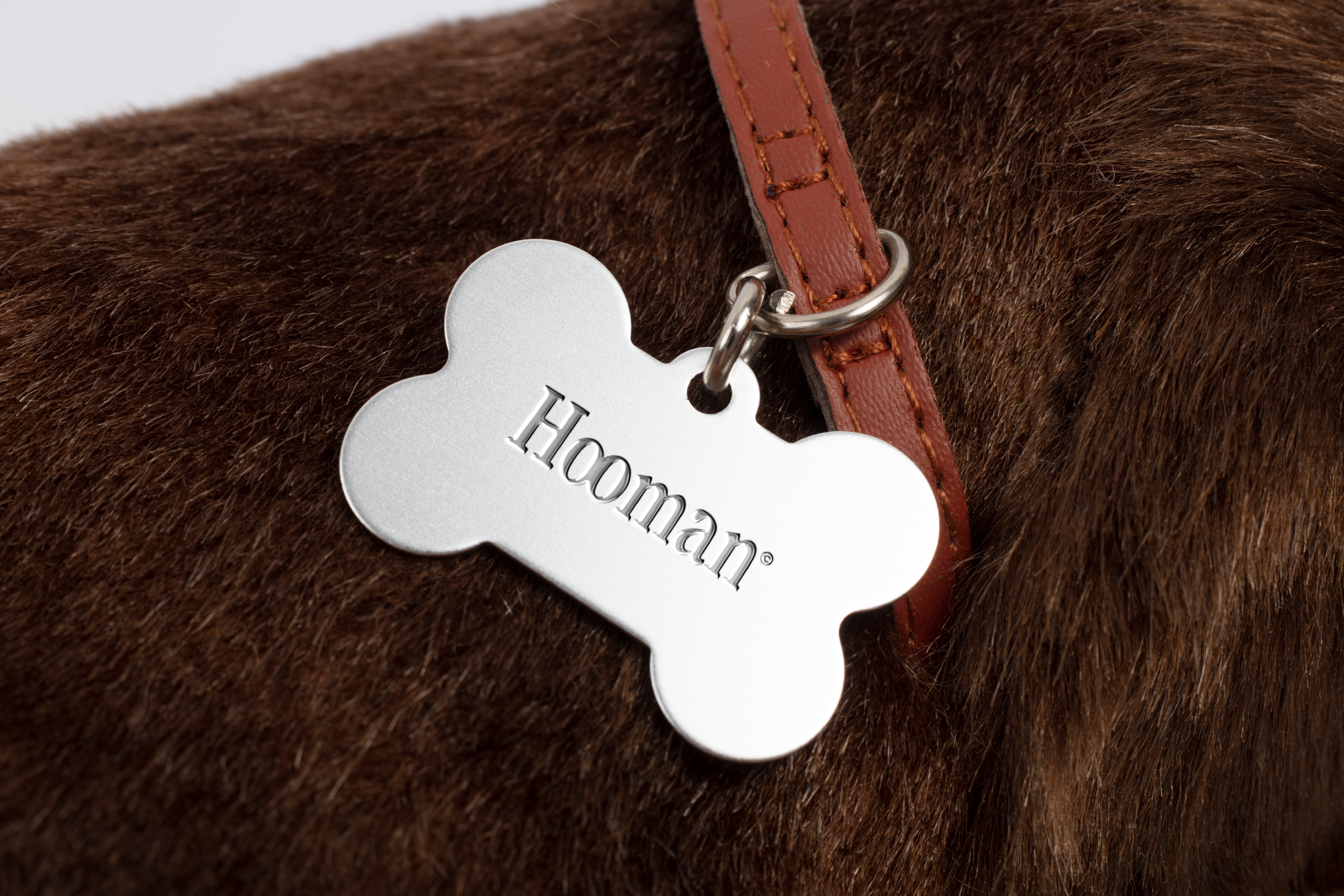 Hooman Pet Club© — 7